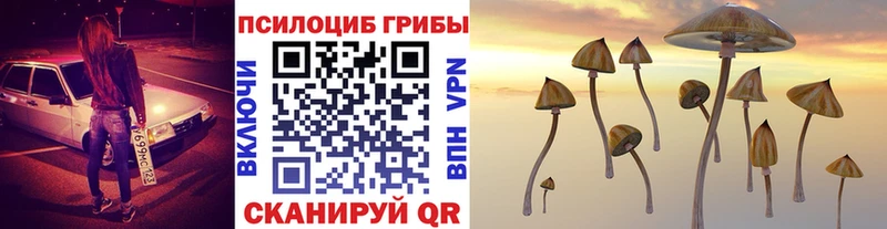 мега зеркало  Шадринск  Псилоцибиновые грибы Cubensis 